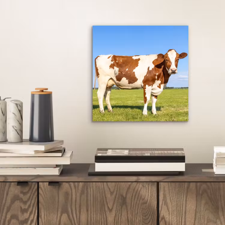 Koeien - Boerderij - Gras- Natuur - Dieren aluminium wit klein -sfeer1