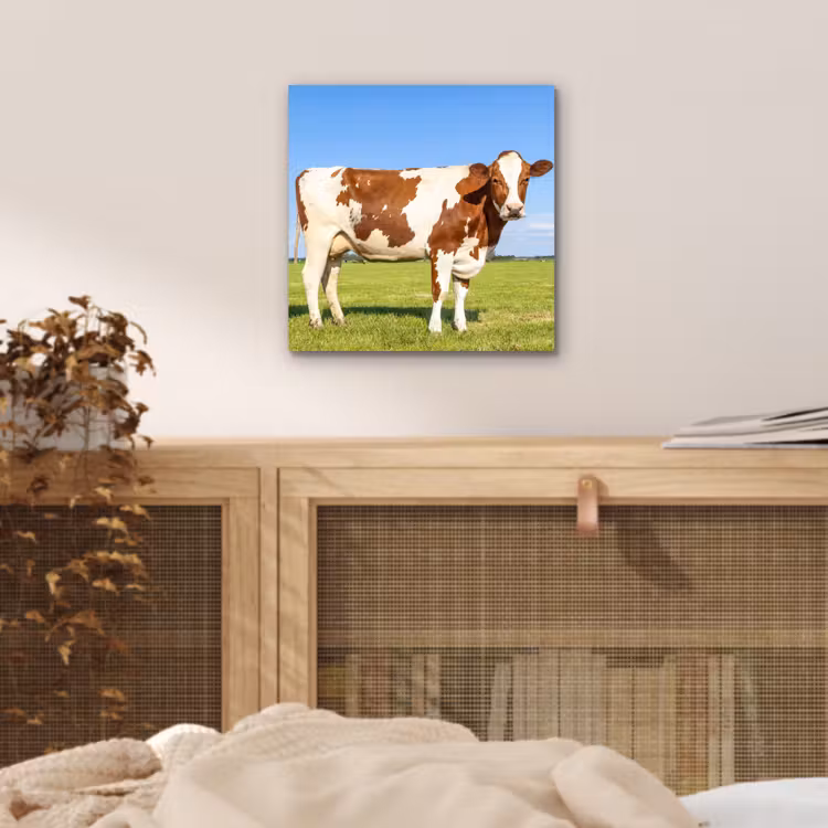 Koeien - Boerderij - Gras- Natuur - Dieren aluminium wit klein -sfeer3
