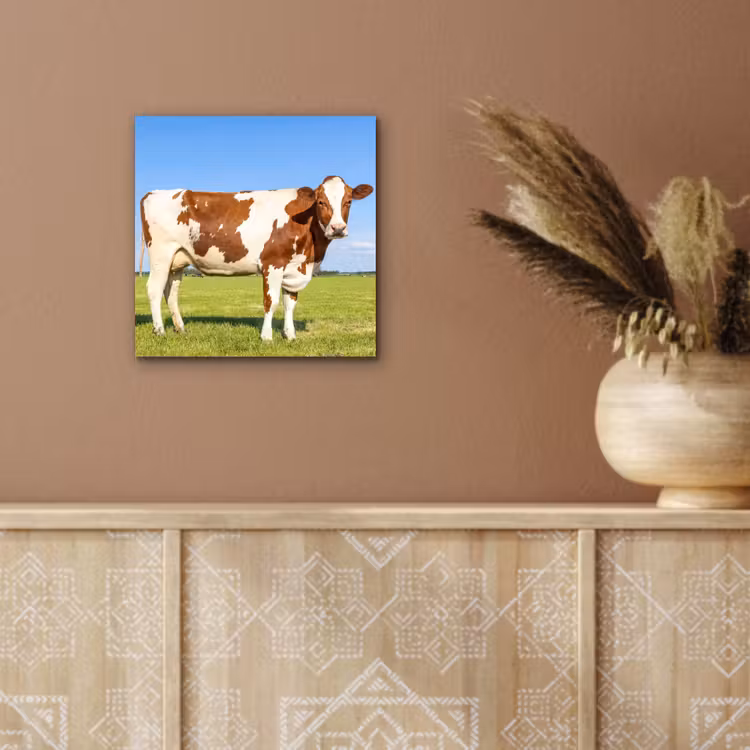 Koeien - Boerderij - Gras- Natuur - Dieren aluminium wit klein -sfeer4