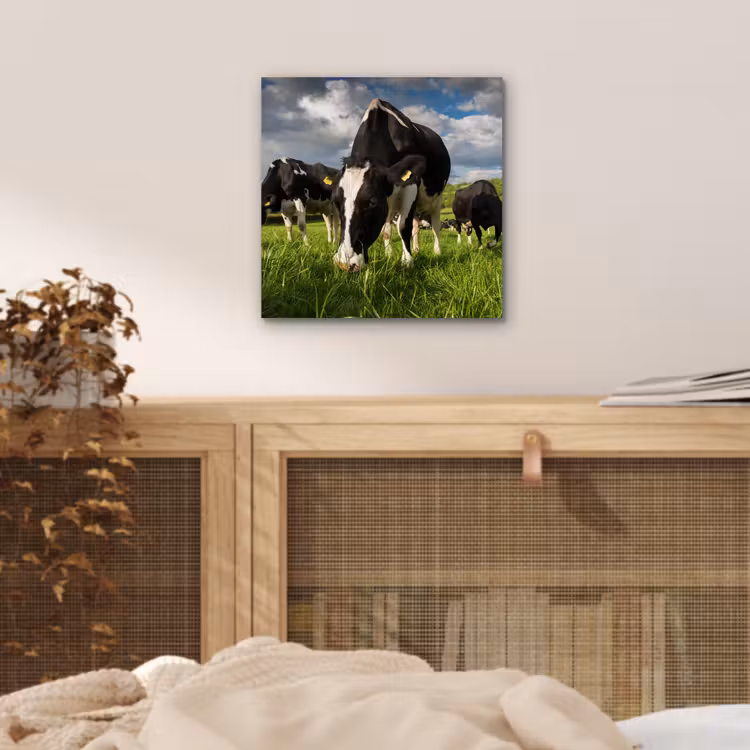 Koeien - Dieren - Gras - Weiland - Boerderij aluminium wit klein -sfeer3