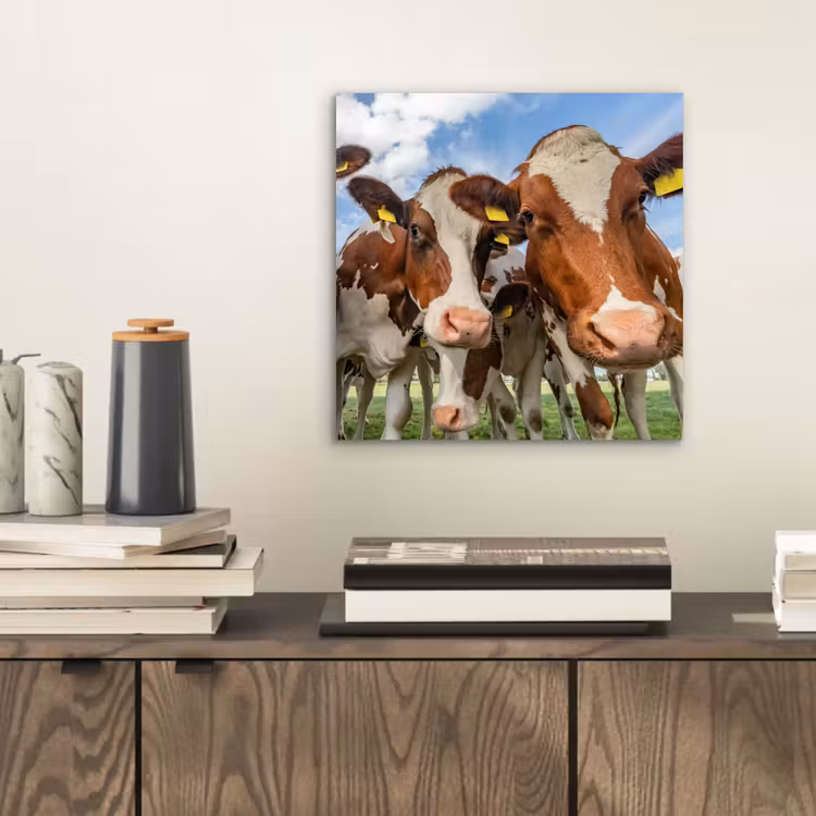 Koeien - Dieren - Weiland - Natuur aluminium wit klein -sfeer1
