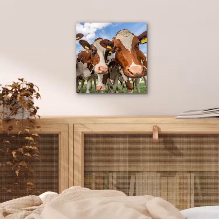 Koeien - Dieren - Weiland - Natuur aluminium wit klein -sfeer3