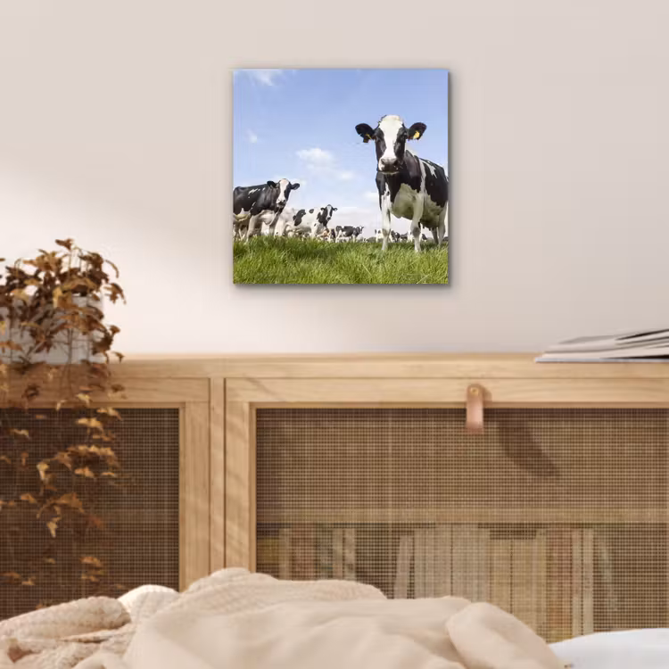 Koeien - Gras - Dieren - Zon - Boerderij aluminium wit klein -sfeer3