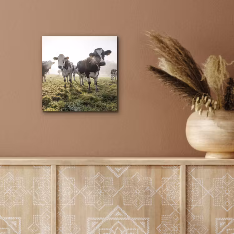 Koeien - Licht - Gras - Dieren aluminium wit klein -sfeer4