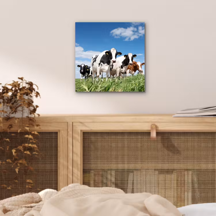 Koeien - Platteland - Weiland - Natuur - Dieren aluminium wit klein -sfeer3