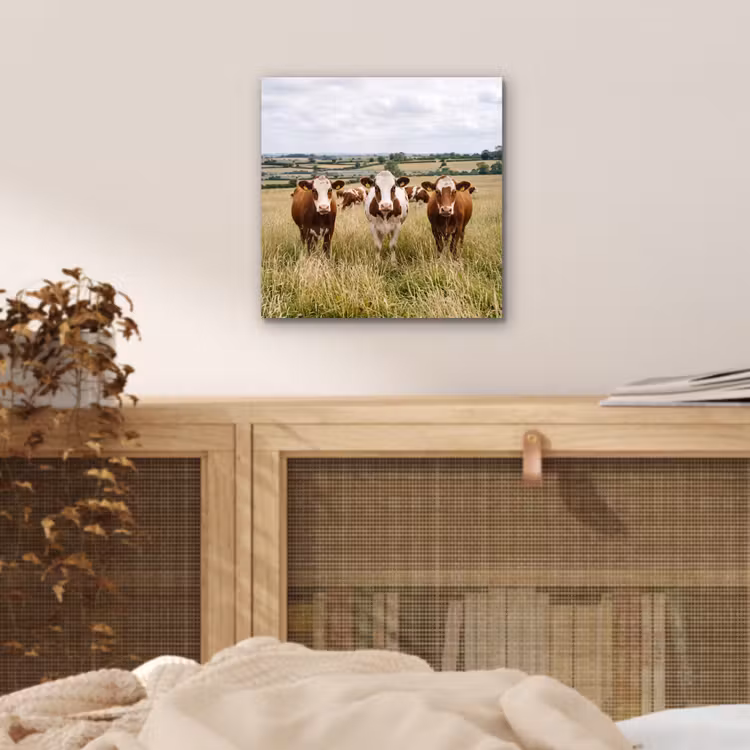 Koeien - Portret - Weide - Boerderij - Nieuwsgierig aluminium wit klein -sfeer3