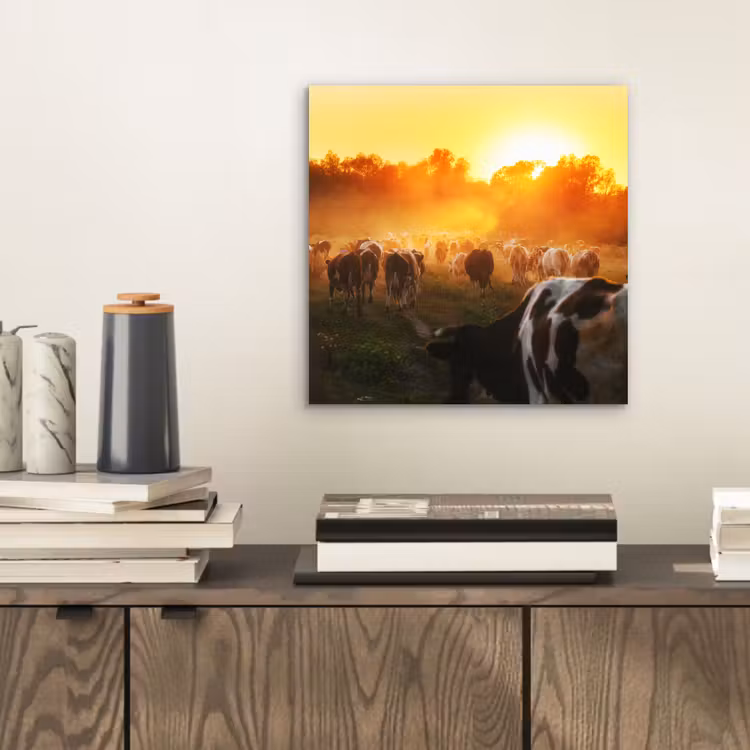 Koeien - Zonsondergang - Weiland - Dieren aluminium wit klein -sfeer1