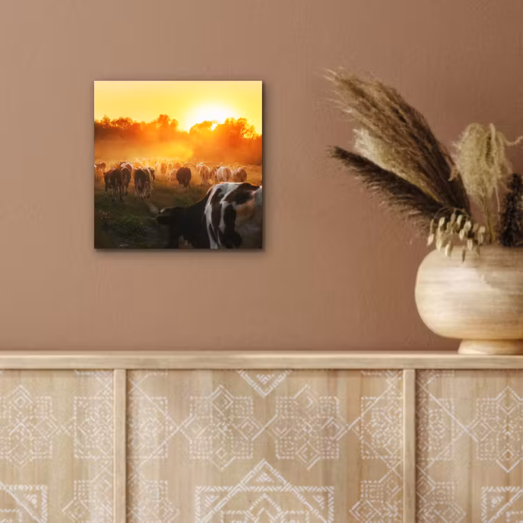 Koeien - Zonsondergang - Weiland - Dieren aluminium wit klein -sfeer4