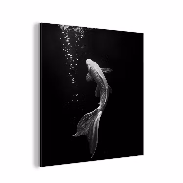 Koi - Vis - Wit - Zwart aluminium wit klein -3d