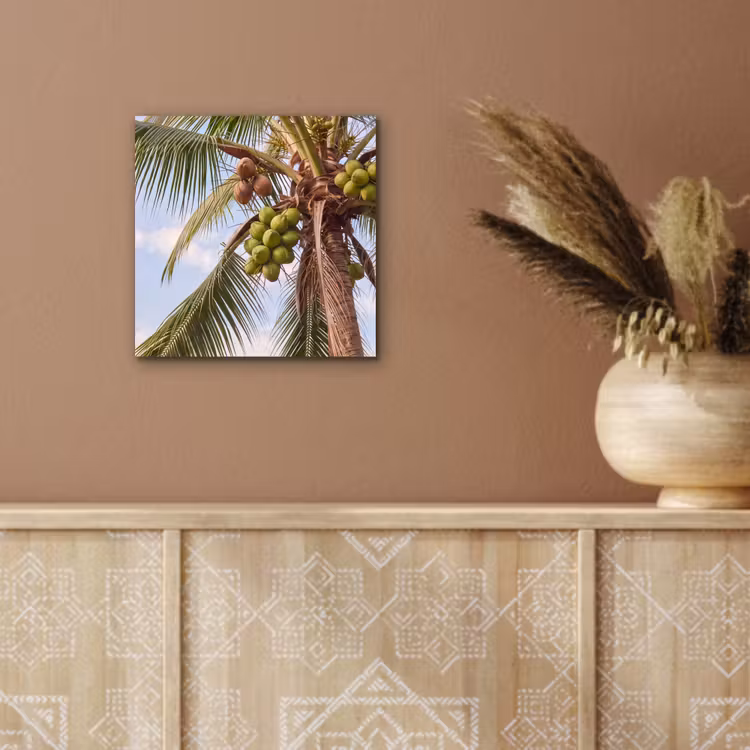 Kokosnoot - Boom - Tropisch - Natuur - Groen aluminium wit klein -sfeer4
