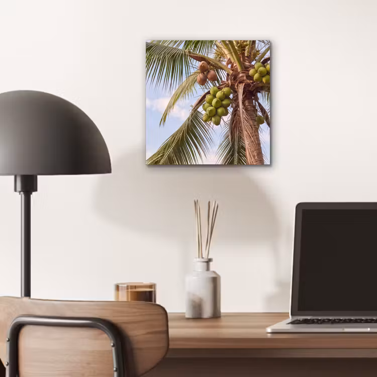Kokosnoot - Boom - Tropisch - Natuur - Groen aluminium wit klein -sfeer5