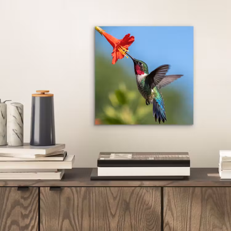 Kolibrie - Bloem - Natuur - Groen aluminium wit klein -sfeer1
