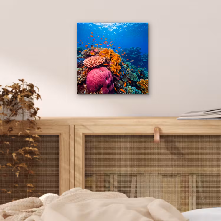 Koraal - Vissen - Oceaan - Natuur - Kleurrijk aluminium wit klein -sfeer3