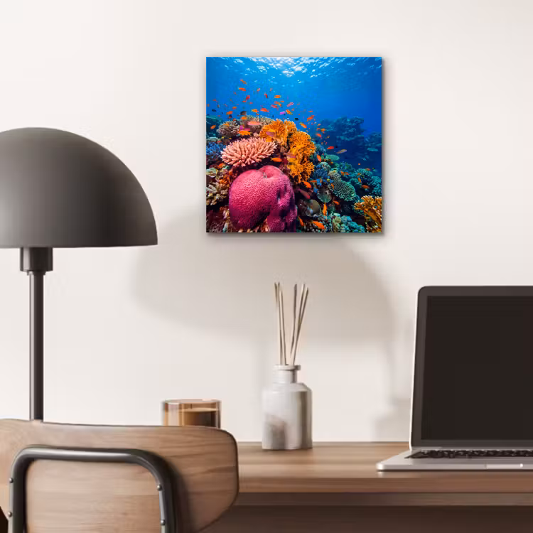 Koraal - Vissen - Oceaan - Natuur - Kleurrijk aluminium wit klein -sfeer5