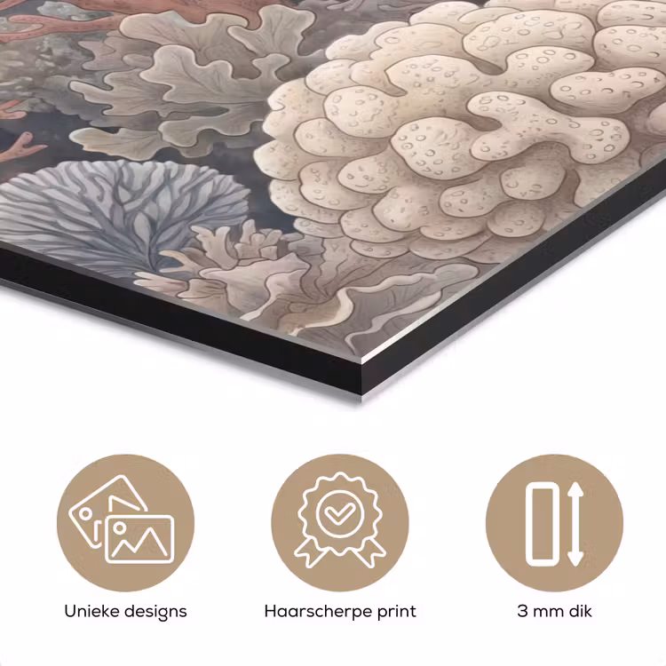 Koraal - Zeeleven - Onderwater - Illustratie - Natuur aluminium wit klein -closeup_NL