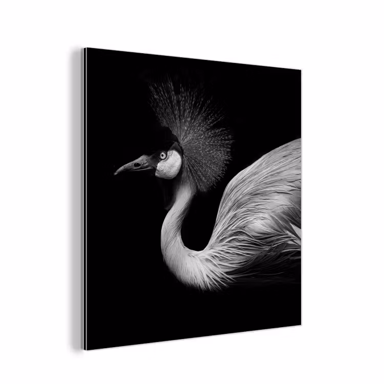 Kraanvogel - Zwart - Wit - Vogel - Dieren aluminium wit klein -3d