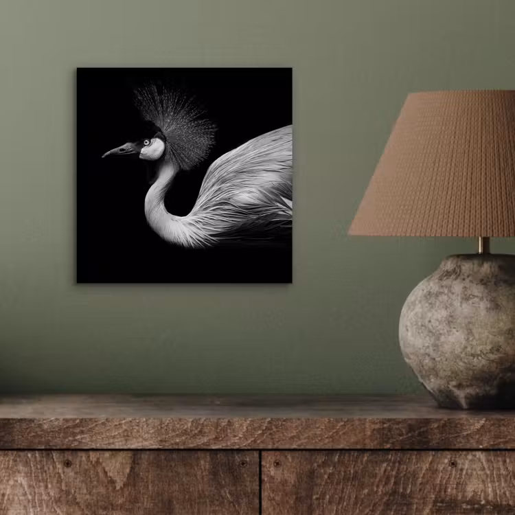 Kraanvogel - Zwart - Wit - Vogel - Dieren aluminium wit klein -sfeer2