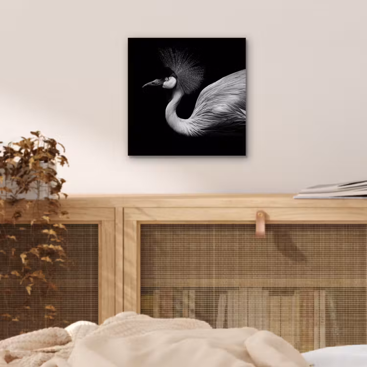 Kraanvogel - Zwart - Wit - Vogel - Dieren aluminium wit klein -sfeer3