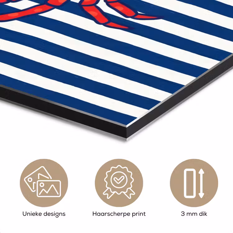 Krab - Strepen - Zeeleven - Illustratie - Rood aluminium wit klein -closeup_NL