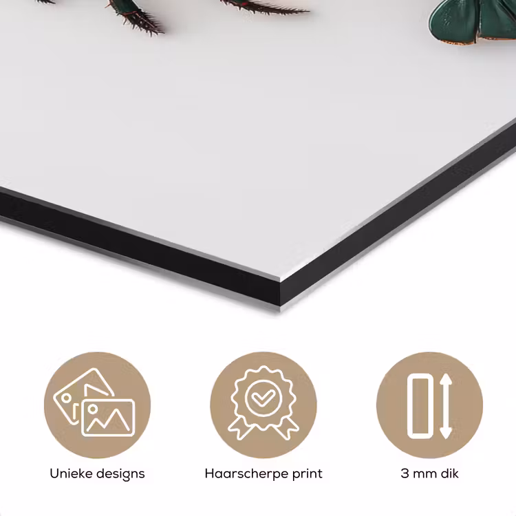 Kreeft - Glossier - Groen - Wit aluminium wit klein -closeup_NL