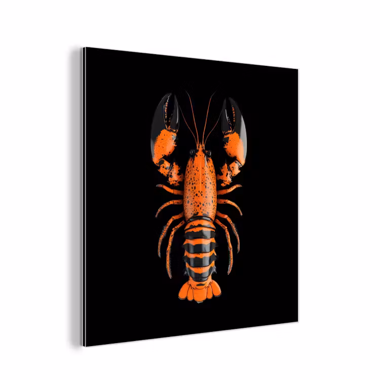 Kreeft - Oranje - Zwart - Modern aluminium wit klein -3d