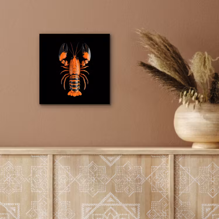 Kreeft - Oranje - Zwart - Modern aluminium wit klein -sfeer4