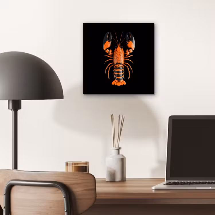 Kreeft - Oranje - Zwart - Modern aluminium wit klein -sfeer5