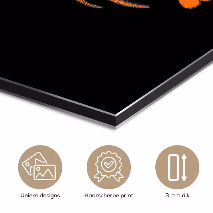 Kreeft - Oranje - Zwart - Modern aluminium wit klein -closeup_NL