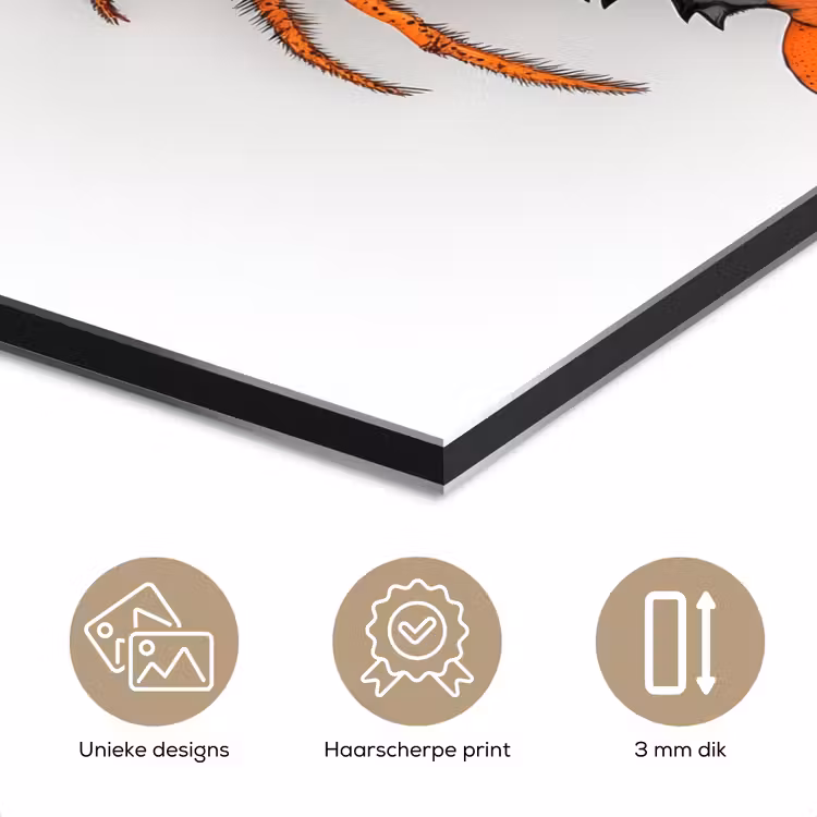 Kreeft - Zwart - Oranje - Wit - Uniek aluminium wit klein -closeup_NL