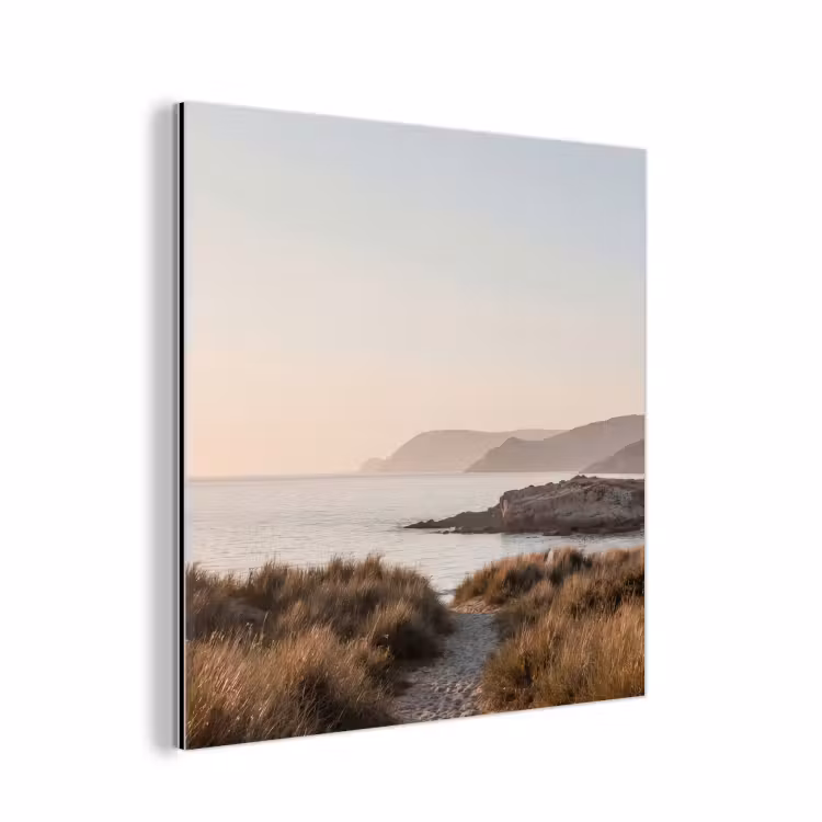 Landschap - Kust - Duinen aluminium wit klein -3d