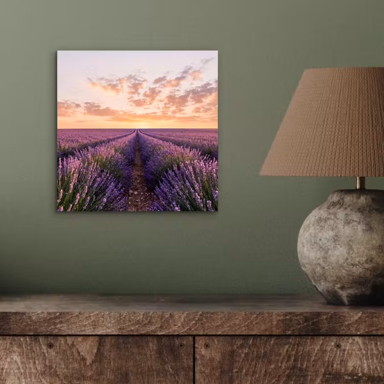 Landschap - Lavendelveld - Paars aluminium wit klein -sfeer2