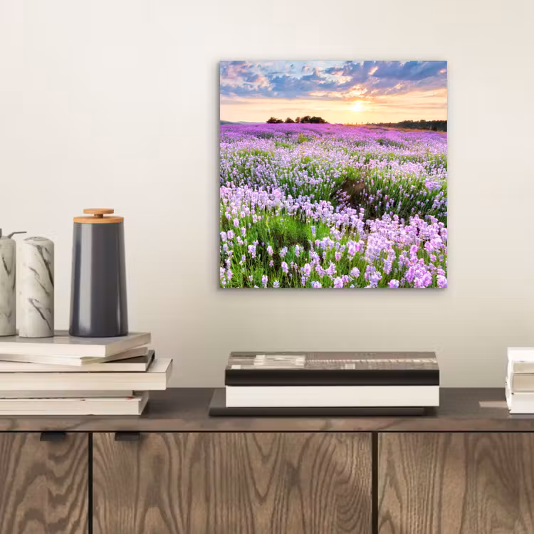 Lavendel - Bloemen - Zonsondergang - Paars - Weide aluminium wit klein -sfeer1