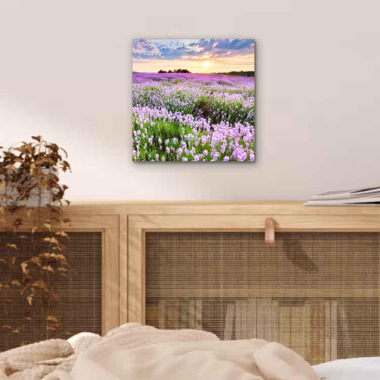 Lavendel - Bloemen - Zonsondergang - Paars - Weide aluminium wit klein -sfeer3