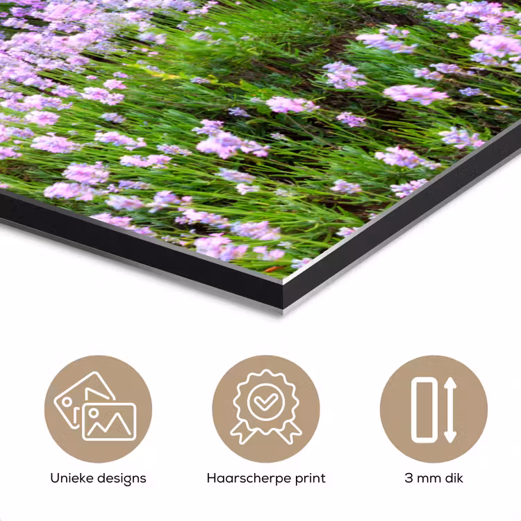 Lavendel - Bloemen - Zonsondergang - Paars - Weide aluminium wit klein -closeup_NL