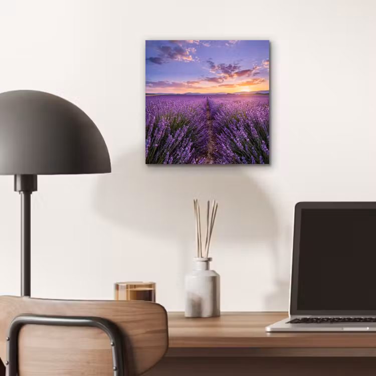 Lavendel - Veld - Natuur - Paars aluminium wit klein -sfeer5
