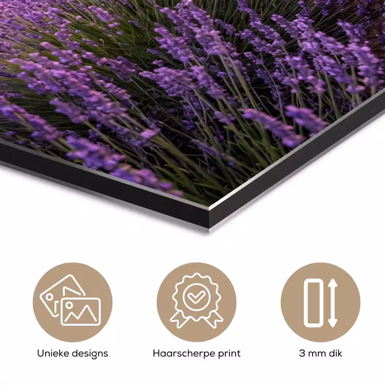 Lavendel - Veld - Natuur - Paars aluminium wit klein -closeup_NL