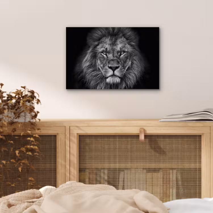 Leeuw - Dieren - Zwart - Wit aluminium wit klein -sfeer3