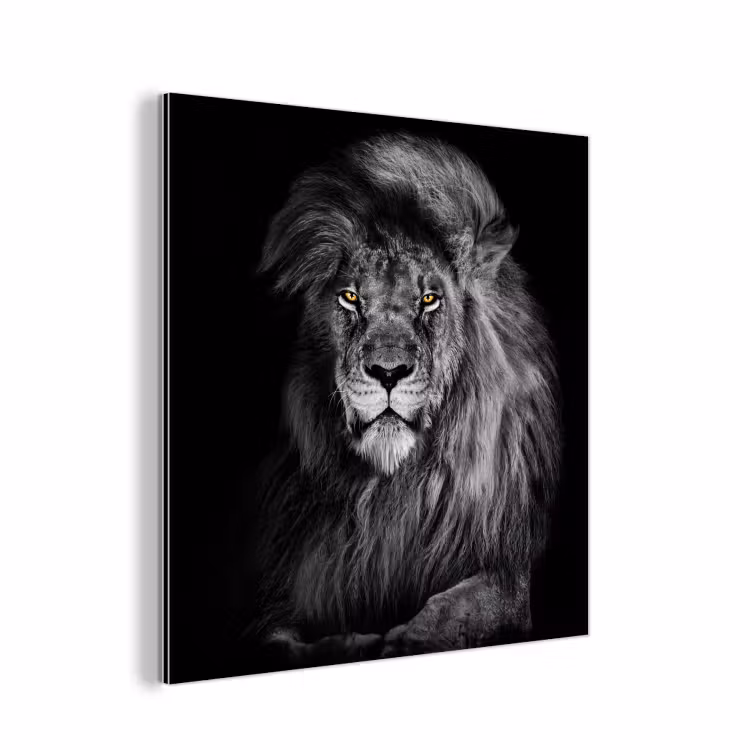 Leeuw - Ogen - Oranje - Zwart wit - Dieren - Portret aluminium wit klein -3d