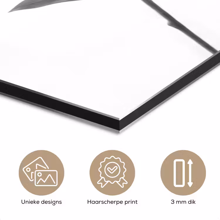 Lelies - Elegant - Zwart - Wit aluminium wit klein -closeup_NL
