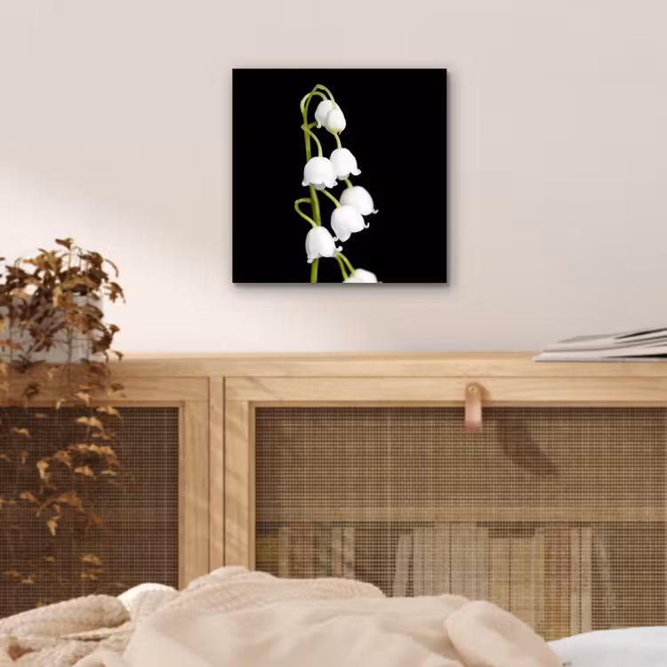 Lelietjes van dalen - Bloemen - Zwart - Flora aluminium wit klein -sfeer3