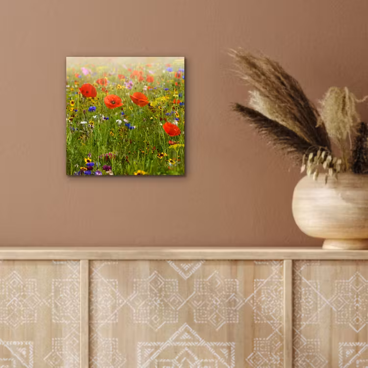 Lente - Bloemen - Rood - Klaproos - Gras - Groen aluminium wit klein -sfeer4