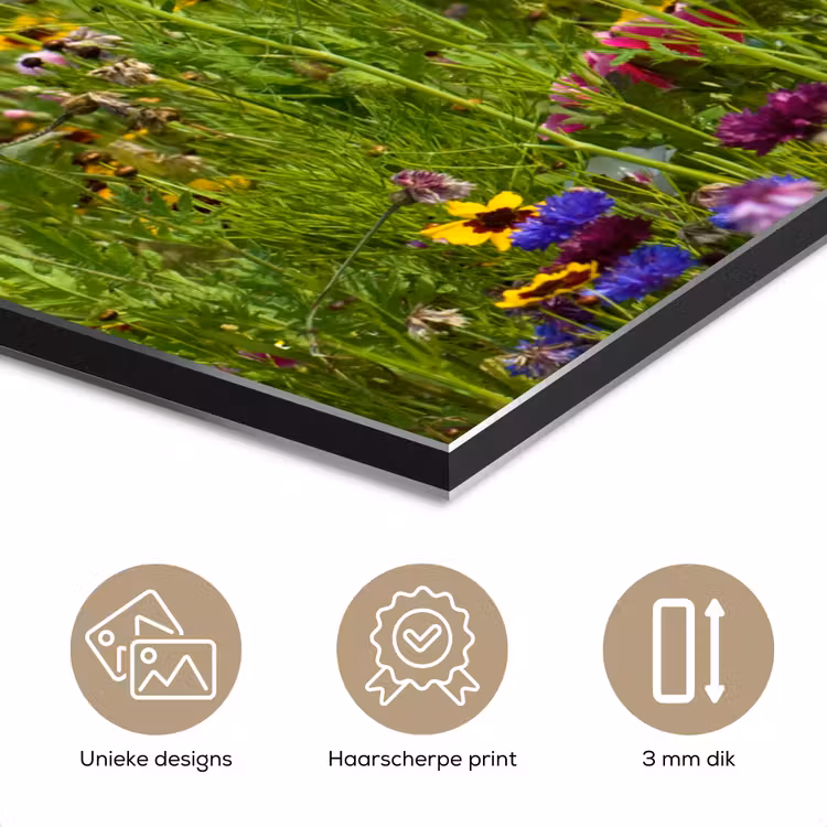 Lente - Bloemen - Rood - Klaproos - Gras - Groen aluminium wit klein -closeup_NL