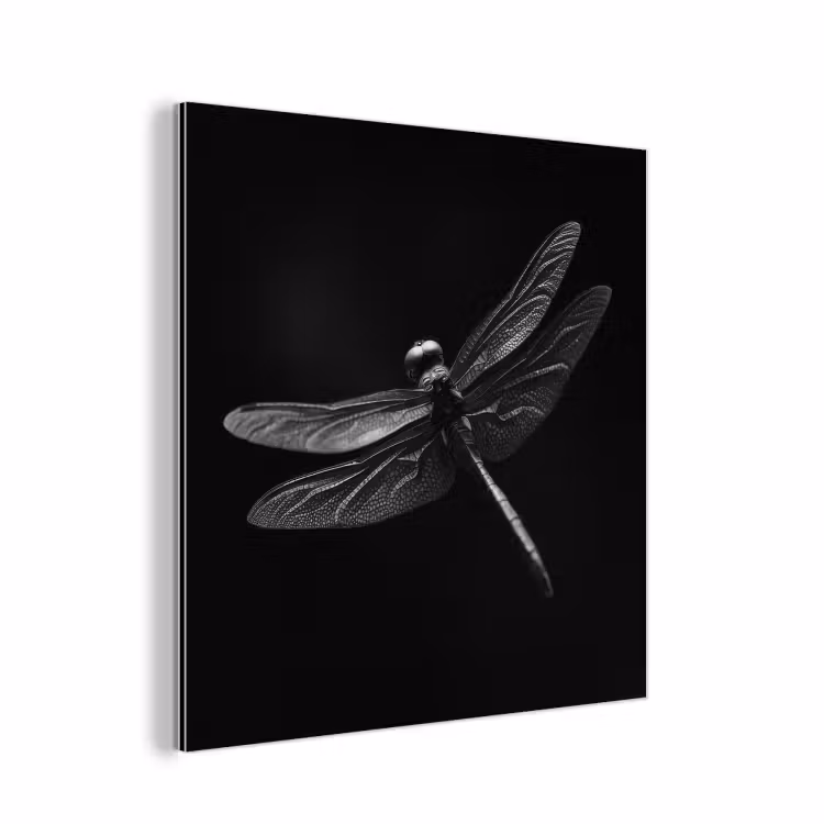 Libelle - Dieren - Zwart - Insect aluminium wit klein -3d