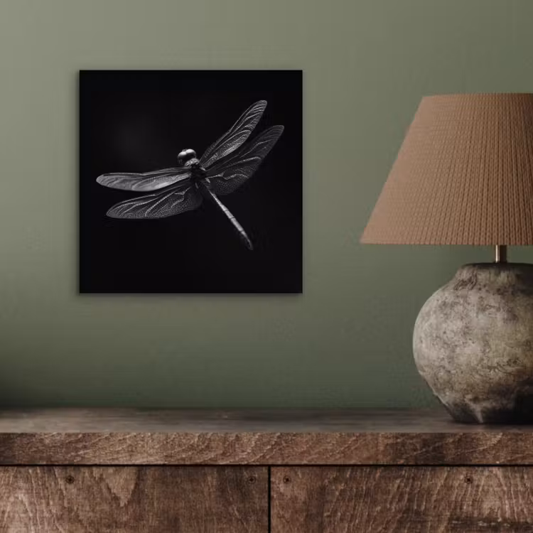 Libelle - Dieren - Zwart - Insect aluminium wit klein -sfeer2