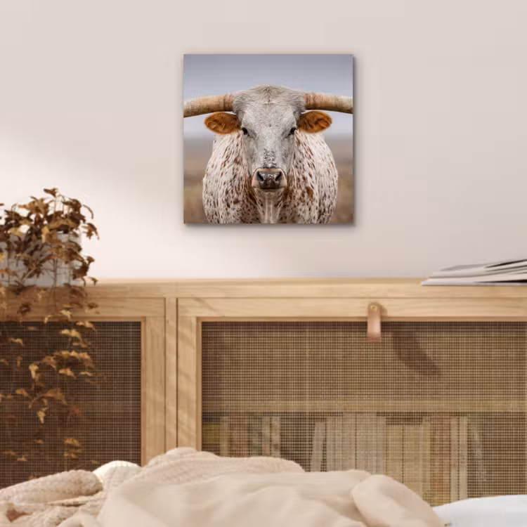 Longhorn - Grasveld - Dier aluminium wit klein -sfeer3