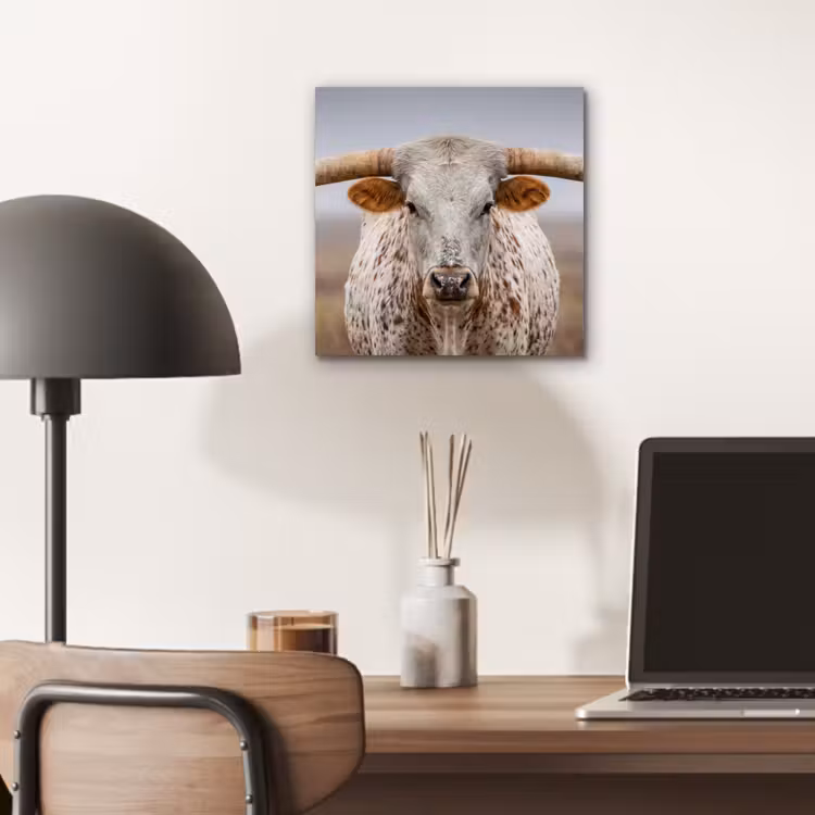 Longhorn - Grasveld - Dier aluminium wit klein -sfeer5