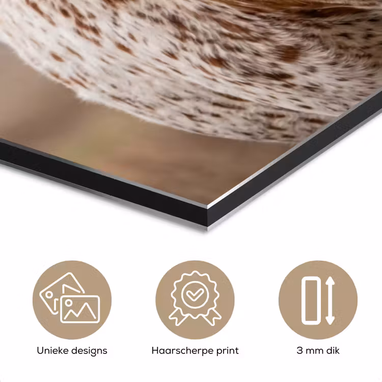 Longhorn - Grasveld - Dier aluminium wit klein -closeup_NL