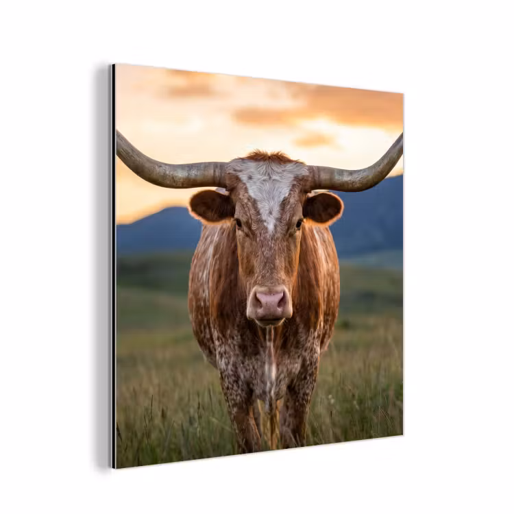 Longhorn - Landschap - Zonsondergang aluminium wit klein -3d