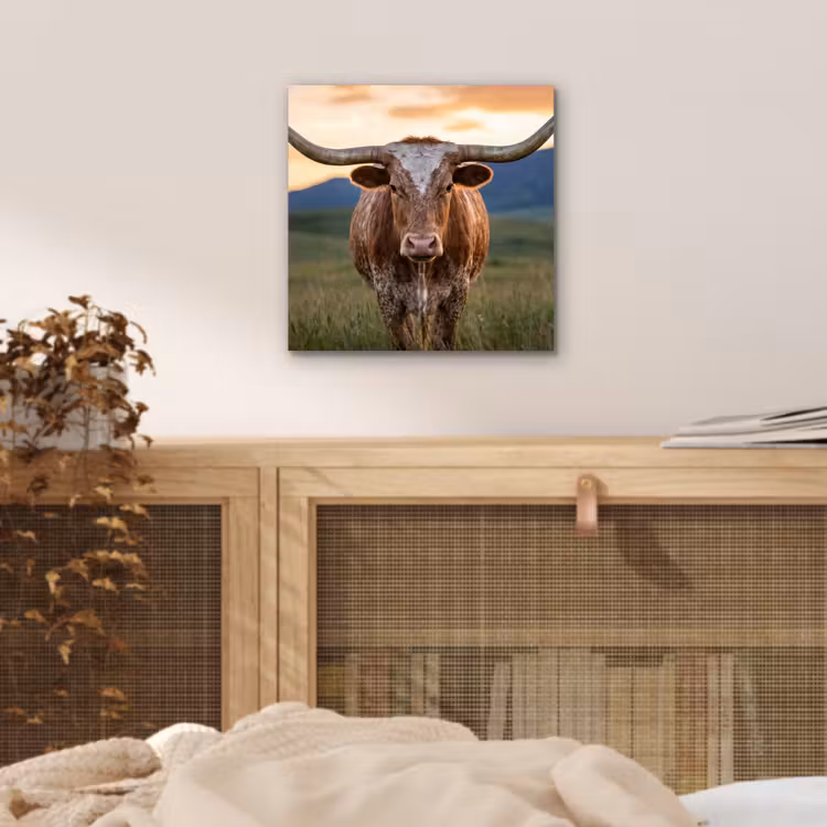 Longhorn - Landschap - Zonsondergang aluminium wit klein -sfeer3