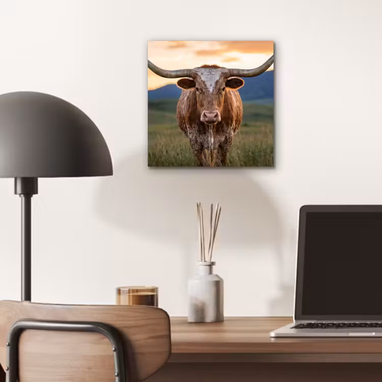 Longhorn - Landschap - Zonsondergang aluminium wit klein -sfeer5